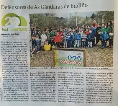 Plantando árboles, sembrando futuro...