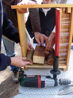 Taller de construcción de hotel de bichos