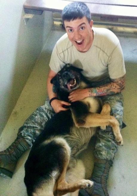 La emotiva despedida a un perro soldado Emotiva eutanasia de un perro soldado