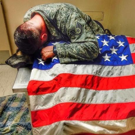 La emotiva despedida a un perro soldado Emotiva eutanasia de un perro soldado