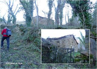 Por las brañas de Santa María de Trespena