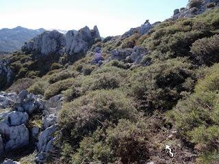 Por las brañas de Santa María de Trespena