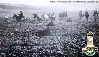 Traída de toros para los encierros