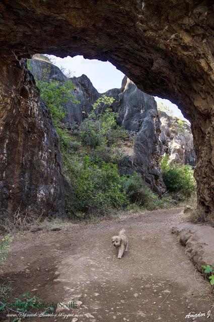 EL CERRO DEL HIERRO (SIERRA NORTE DE SEVILLA)