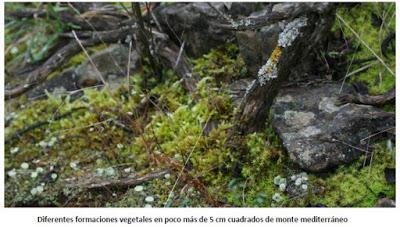 La llamamos Biodiversidad