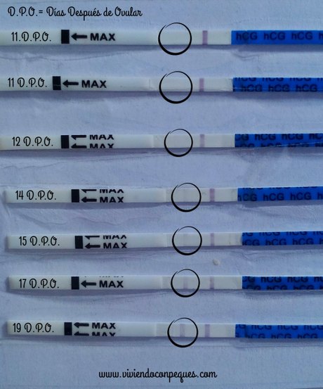 Test de embarazo y test de ovulación: todo lo que necesitas saber