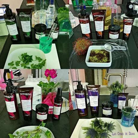 Las cuatro gamas de Botanicals Fresh Care de L'Oréal París Botanicals Fresh Care L'Oréal París cabello belleza beauty hair