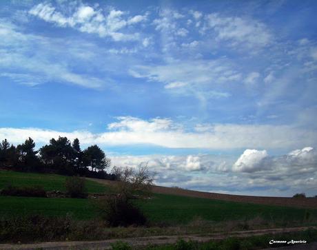 Amor amor las nubes...