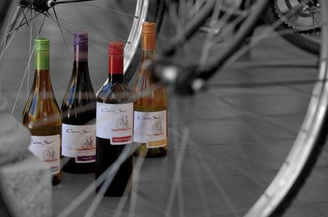 El vino en el ciclismo: ¿Por qué es beneficioso para la salud?