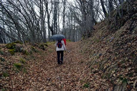 Camino Lebaniego a Santo Toribio, cuarta etapa: Verdiago, Crémenes, Horcadas.