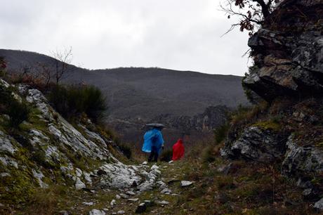 Camino Lebaniego a Santo Toribio, cuarta etapa: Verdiago, Crémenes, Horcadas.