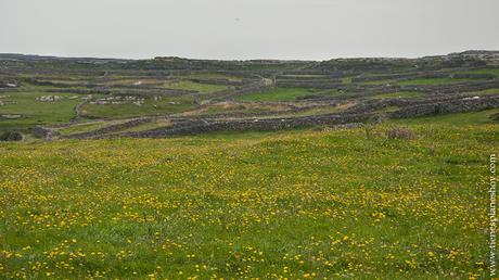 Islas Aran Inishmore Irlanda