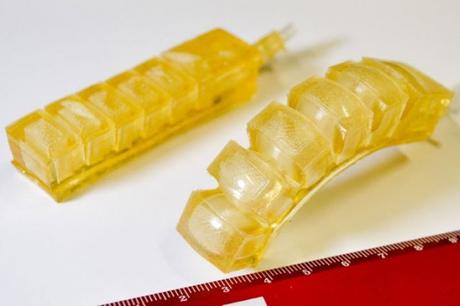 Estos #robots comestibles podrán explorar tus intestinos (FOTO)