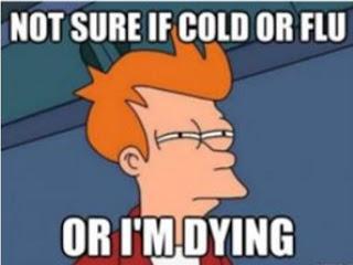 Help! ¿Cómo sé si lo que tengo es gripe o un resfriado? Help! ¿Cómo sé si lo que tengo es gripe o un resfriado?