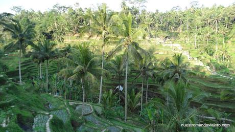 Bali; el Monte Agung y los Arrozales Tegalalang