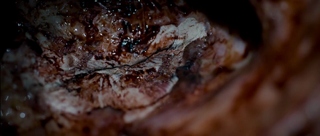 The Autopsy of Jane Doe - 2016 The Autopsy of Jane Doe - 2016