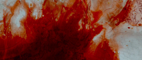 The Autopsy of Jane Doe - 2016 The Autopsy of Jane Doe - 2016