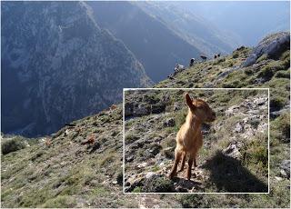 Aciera-Cualarena-Cuayumera-El Vallinón de los Texos-El Visu