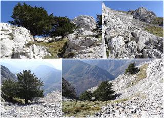 Aciera-Cualarena-Cuayumera-El Vallinón de los Texos-El Visu