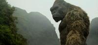 frases de “Kong: la Isla Calavera”