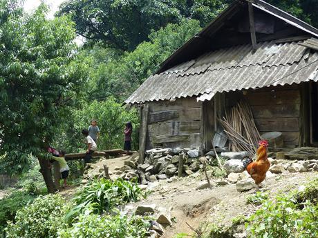 Trekkings en Sapa