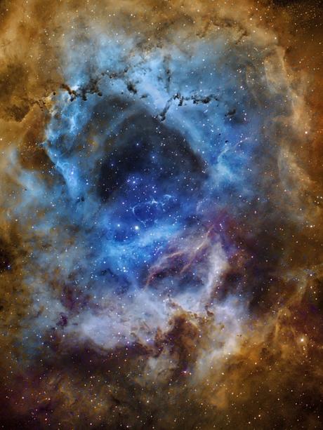 ✨Nebulosa Roseta por Paul C. Swift ✨Nebulosa Roseta por Paul C. Swift