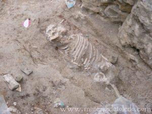 Necrópolis en el Paseo de los Canónigos Necrópolis en el Paseo de los Canónigos