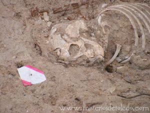 Necrópolis en el Paseo de los Canónigos Necrópolis en el Paseo de los Canónigos