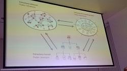 #DeconstructingWork con Niels Pflaeging: la complejidad y el desafío al management