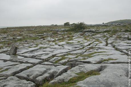 The Burren Poulnabrone Dolmen Irlanda