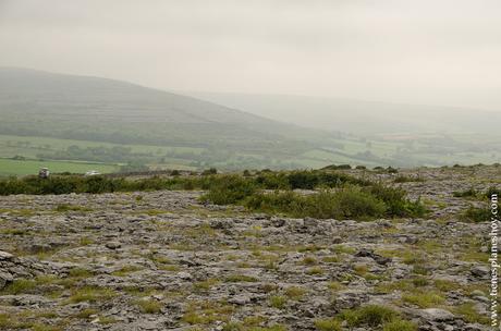 The Burren Irlanda Condado de Clare