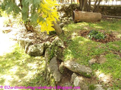 La belleza de lo sencillo y humilde: Cymbalaria muralis (Ruinas de Roma) La belleza de lo sencillo y humilde: Cymbalaria muralis (Ruinas de Roma)