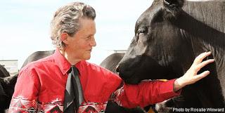 ARTICULO: Hay que pensar como los animales (Temple Grandin, noviembre 1997)