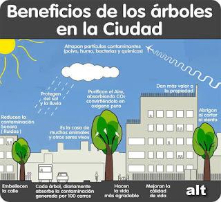 La importancia de plantar árboles La importancia de plantar árboles