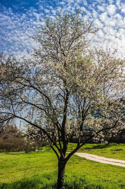 Parque Quinta de Torre Arias