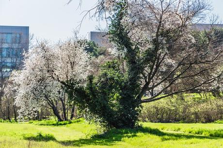 Parque Quinta de Torre Arias