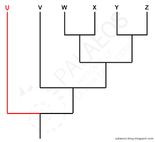 Cómo leer un cladograma