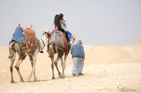 Una de las posibilidades es recorrer el entorno de las pirámides en camello. Fotografia_Viaje_Egipto.Abuelohara