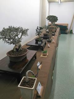 Exposicion de Can Palet 2017 Exposicion de Can Palet 2017