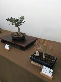 Exposicion de Can Palet 2017 Exposicion de Can Palet 2017