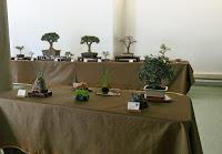 Exposicion de Can Palet 2017 Exposicion de Can Palet 2017