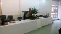 Exposicion de Can Palet 2017 Exposicion de Can Palet 2017