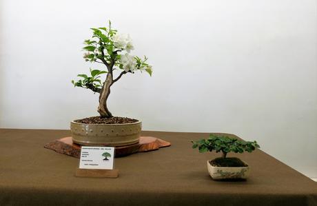Exposicion de Can Palet 2017 Exposicion de Can Palet 2017