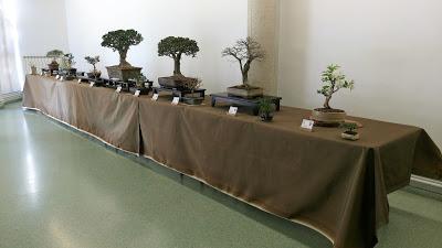 Exposicion de Can Palet 2017 Exposicion de Can Palet 2017