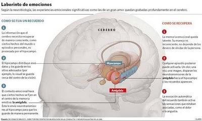 ¿POR QUÉ ES TAN DIFÍCIL OLVIDAR UN GRAN AMOR?