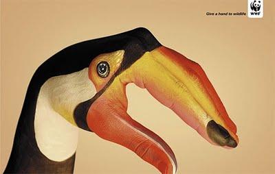 Campañas abremente - WWF