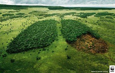 Campañas abremente - WWF