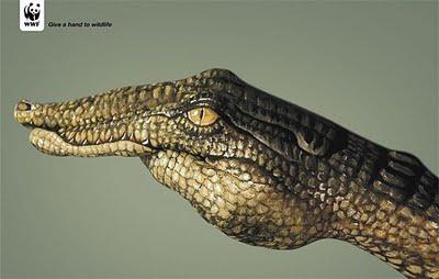 Campañas abremente - WWF Campañas abremente - WWF