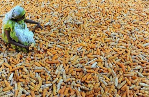 1848, 2011: las revueltas del hambre 1848, 2011: las revueltas del hambre