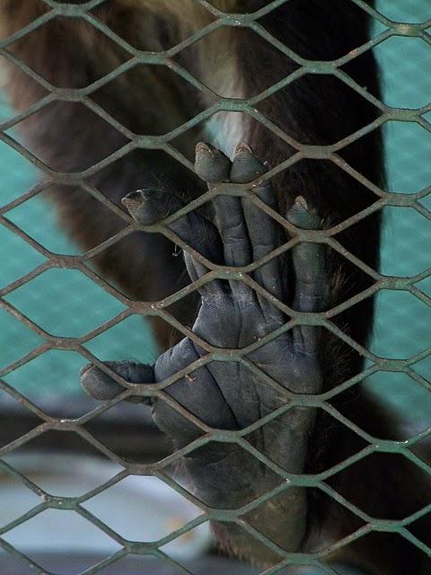 Comayagua y sus balnearios artificiales Comayagua y sus balnearios artificiales